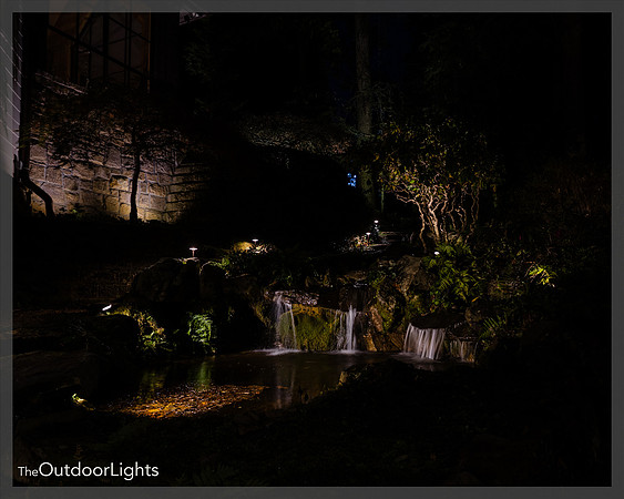8x10 Web Watermark