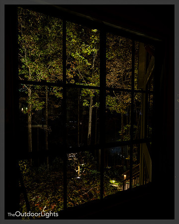 8x10 Web Watermark