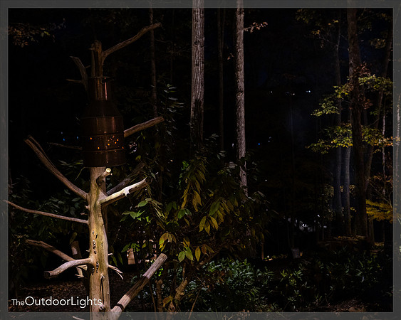 8x10 Web Watermark