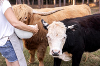 Thrive Farm