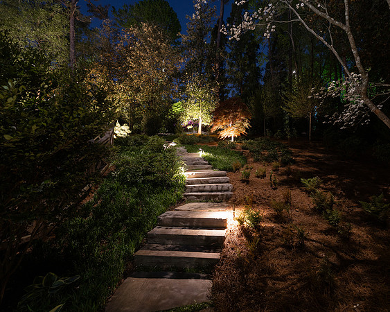 BrooklynPhotography-2422