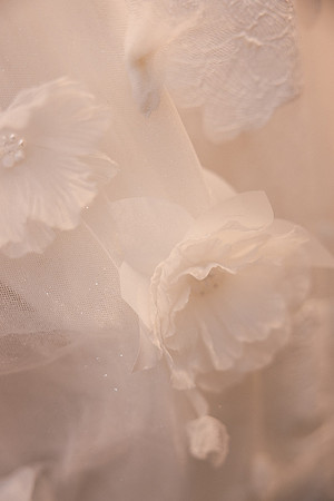 Open House - Sure Bride
