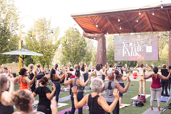 Yoga in the Park
