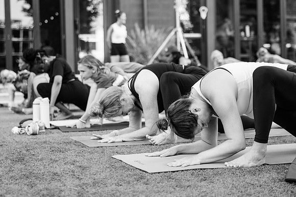 Yoga in the Park