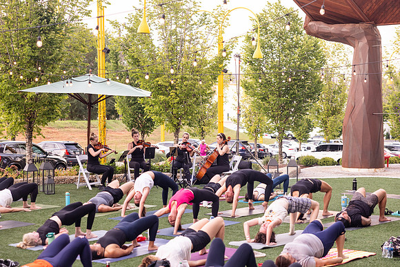Yoga in the Park