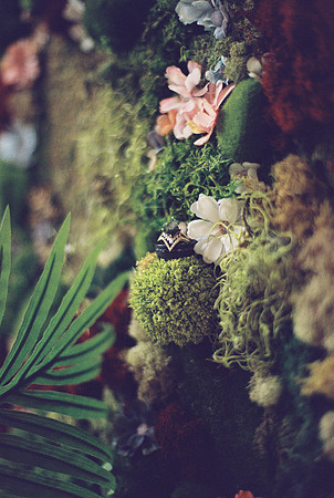 Brooklyn Photography