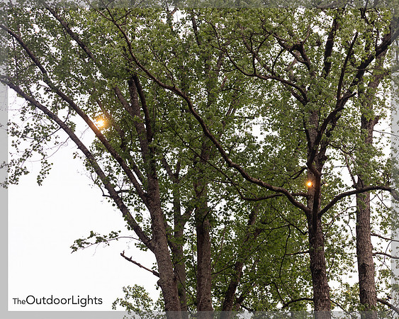 BrooklynPhotography-3109