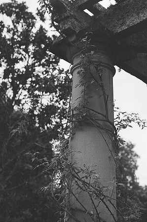 Film