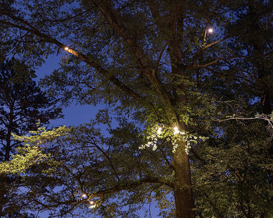 BrooklynPhotography-2416