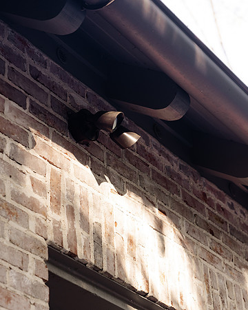BrooklynPhotography-2281