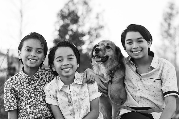 Heintzelman Family