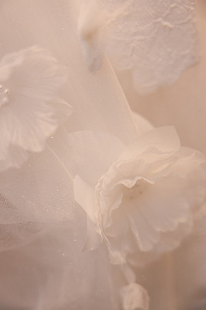 Open House - Sure Bride