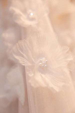 Open House - Sure Bride