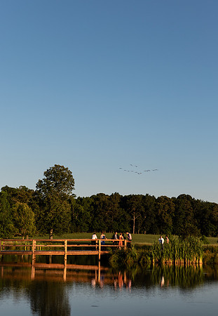 (c)Brooklyn Photography