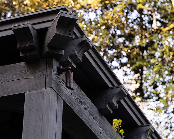BrooklynPhotography-2288