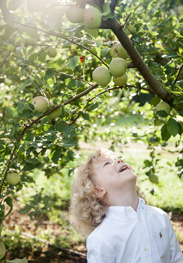 Orchard-FamilySession-8930-2
