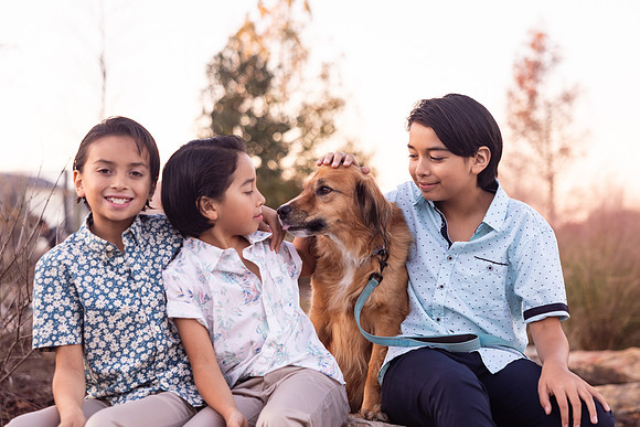 Heintzelman Family