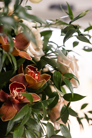BrooklynPhotography-52