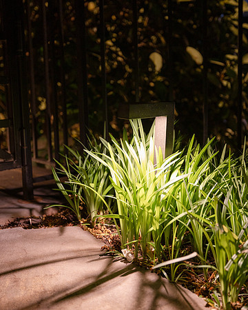 BrooklynPhotography-2424