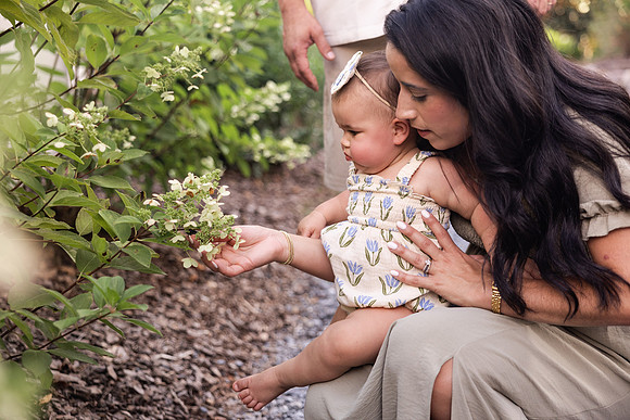 Wyatt Family