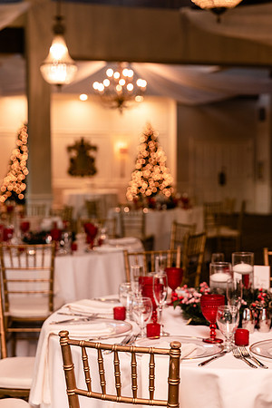 Mr. and Mrs. Benedetti