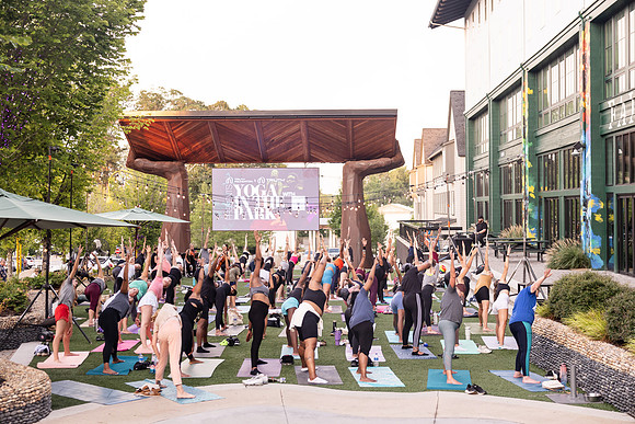Yoga in the Park