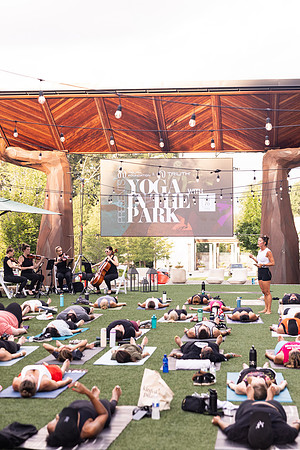 Yoga in the Park