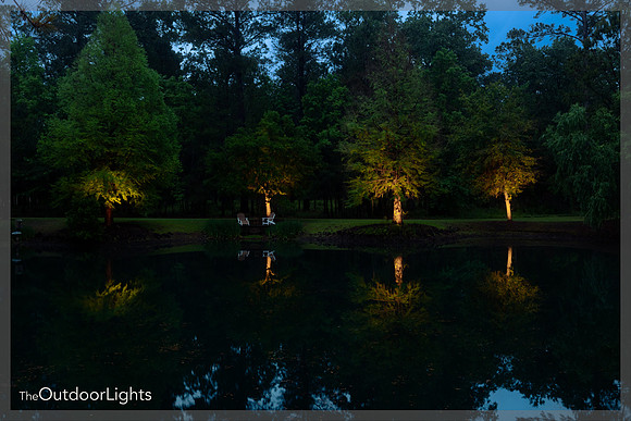 4x6 Web Logo