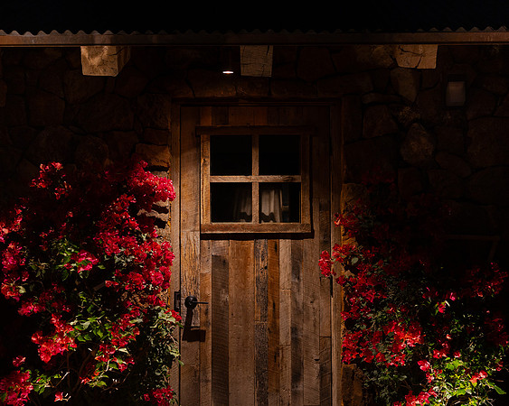 8x10 Web