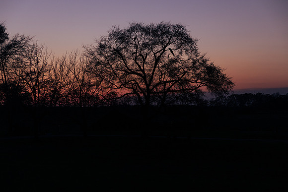 Brooklyn Photography