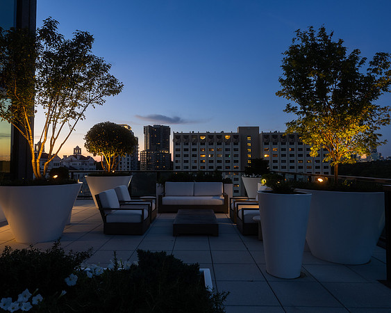 8x10 Web
