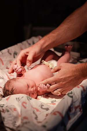 Nora Elizabeth