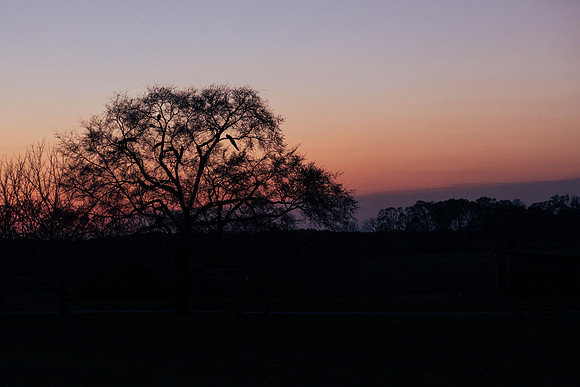 Brooklyn Photography