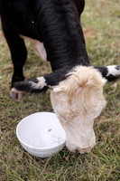 Thrive Farm
