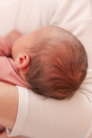 Foulk Family