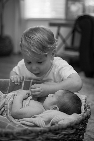 Family Photos 2025
