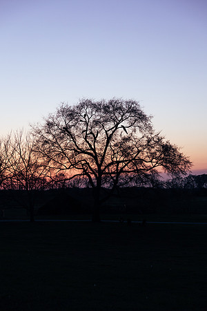 Brooklyn Photography