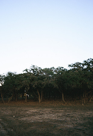 brooklynha568071-R1-040