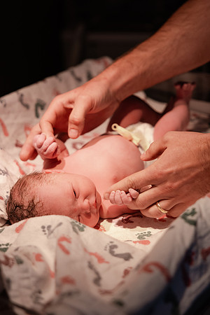 Nora Elizabeth