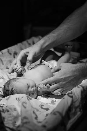 Nora Elizabeth