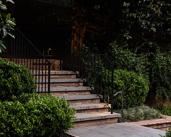 BrooklynPhotography-2347
