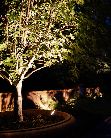 BrooklynPhotography-2381