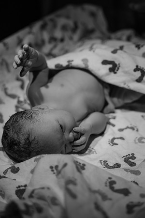 Nora Elizabeth