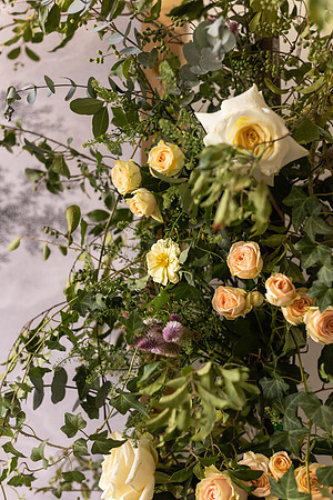 Studio Bridal