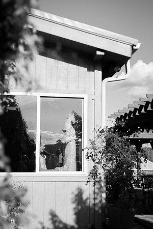 (c)Brooklyn Photography