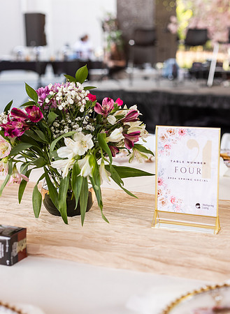 Spring Gala