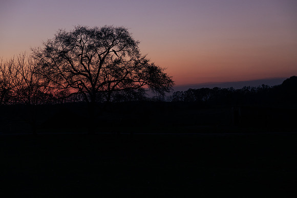 Brooklyn Photography