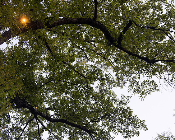BrooklynPhotography-2323