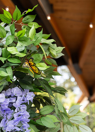 Spring Gala