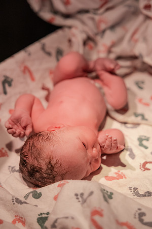 Nora Elizabeth